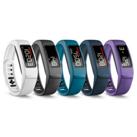 vivofit 2