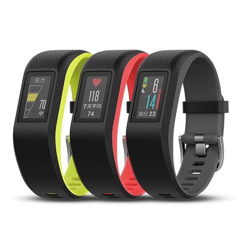 new vivosport 2019