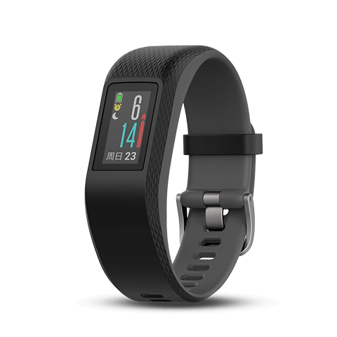 new vivosport