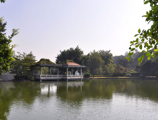 丹水坑<a href=