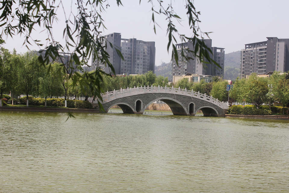 一部关于希望与失落的春日心灵之旅影评