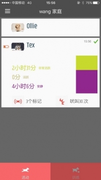 活动监测