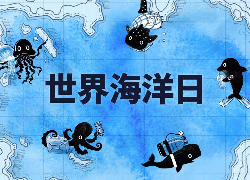 快来看看你是哪种海洋生物