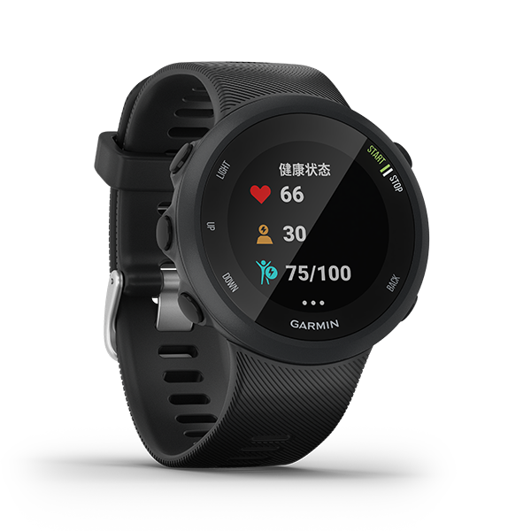 forerunner 45 plus