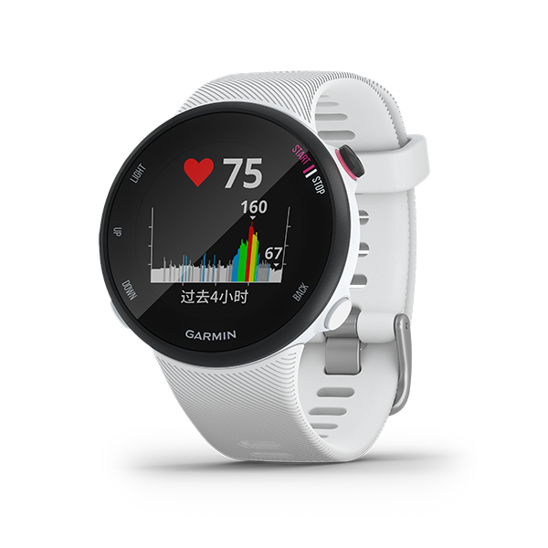 forerunner 45s strava