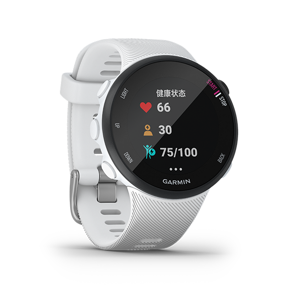 forerunner 45s strava