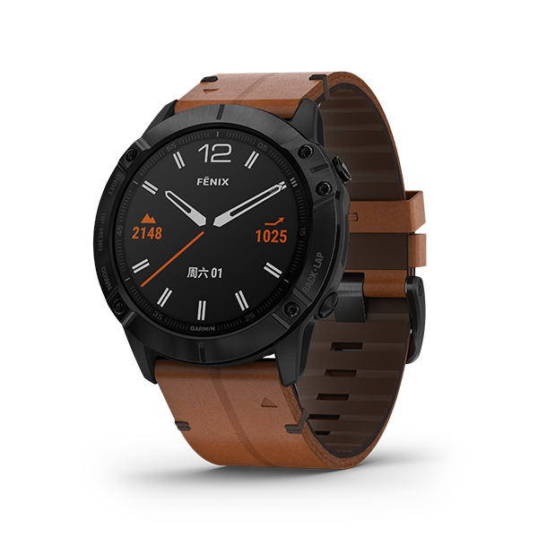fēnix 6X