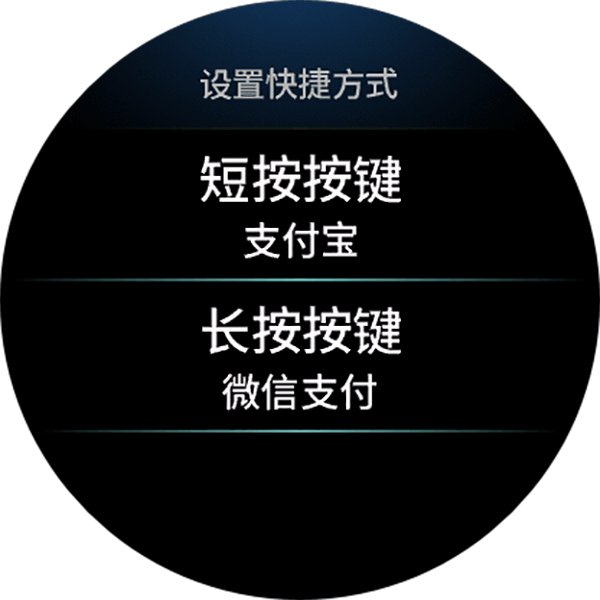 Venu 2 Plus 表盘