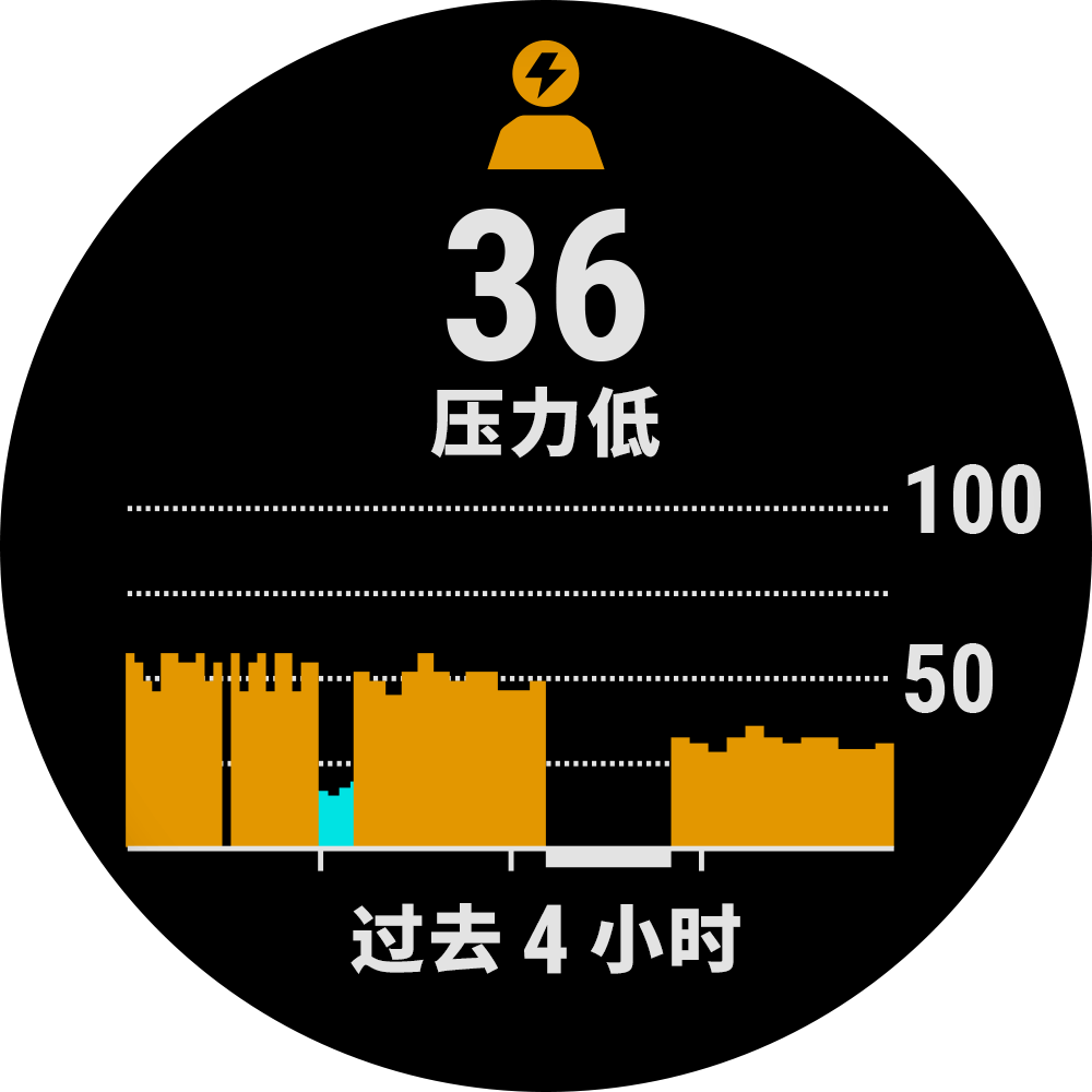 Forerunner 158 表盘