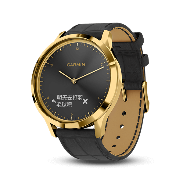 vivomove hr 3