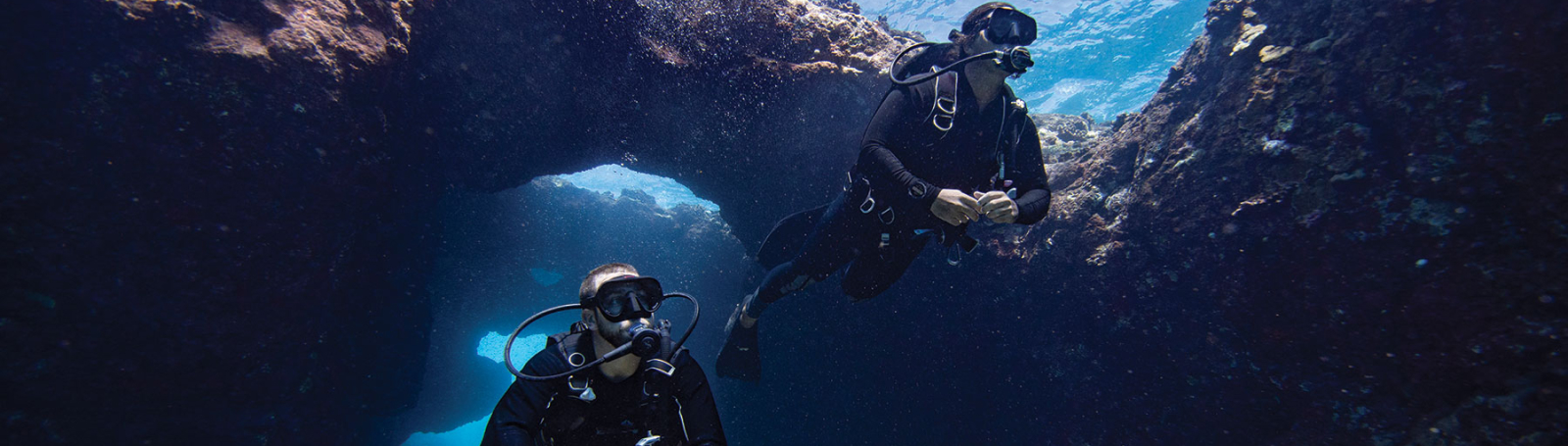 Dive Science - 2 divers diving in the ocean