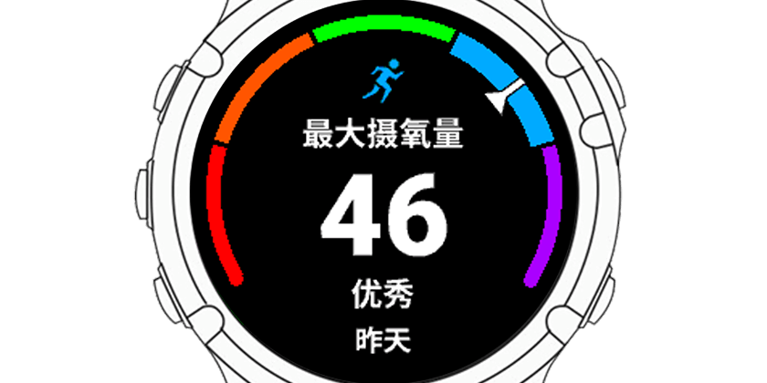 最大摄氧量 VO2 Max