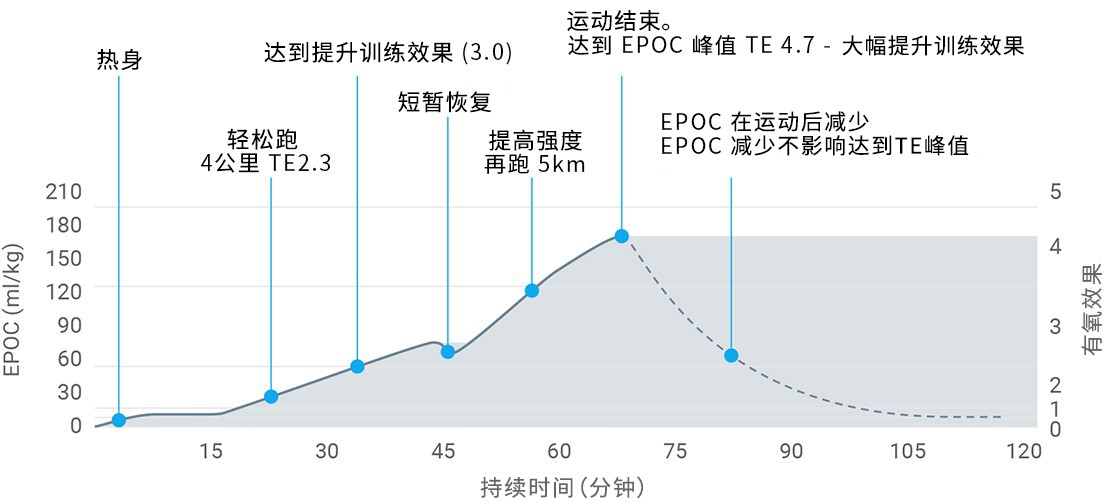 A graph showing excess post-exercise consumption derived from heart rate data during exercise.