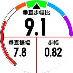 表盘 - 垂直步幅比（移动效率）